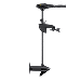 MINN KOTA ENDURA C2 50 12V 50LB 36