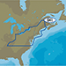 C-MAP MAX NA-M041/SD US LAKES-NORTHEAST SD FORMAT