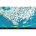 GARMIN STANDARD MAPPING - LOUISIANA CENTRAL PROFESSIONAL MICROSD/SD CARD