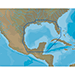 C-MAP NA-Y064 GULF OF MEXICO - MICROSD/SD