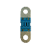 VICTRON MIDI-FUSE 100A/58V F/48V PRODUCTS (PACKAGE OF 1)