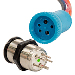 BLUEWATER 22MM PUSH BUTTON SWITCH, OFF/(ON) MOMENTARY CONTACT, BLUE/RED LED, 4' LEAD