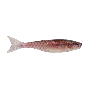 BERKLEY POWERBAIT POWERSTINGER, 4.25", HD MUD MINNOW BSWPBSPS4.25-HDMM
