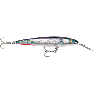 RAPALA COUNTDOWN MAGNUM ELITE 145, 5-3/4", ARMORED FLYING FISH UV