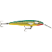 RAPALA COUNTDOWN MAGNUM ELITE 145, 5-3/4