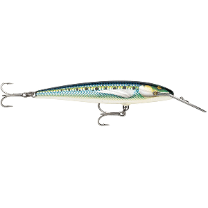 RAPALA COUNTDOWN MAGNUM ELITE 145, 5-3/4", ARMORED SARDINE
