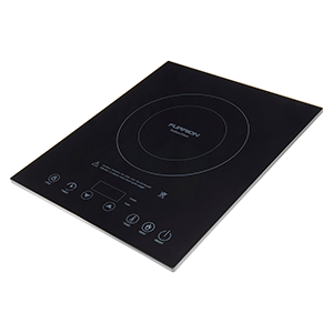 Furrion Single Burner Induction Cooktop At Ahoycaptain Com