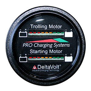DUAL PRO BATTERY FUEL GAUGE, MARINE DUAL READ BATTERY MONITOR, 12V/24V SYSTEM, 15' BATTERY CABLE