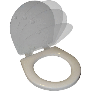 RARITAN SOFT CLOSE HOUSEHOLD STYLE SEAT & COVER, WHITE